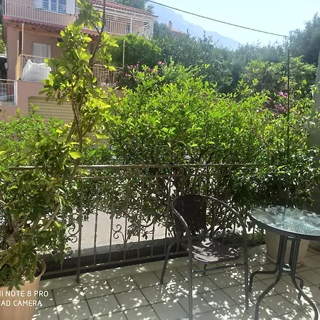 Erminia * Μουσάτα